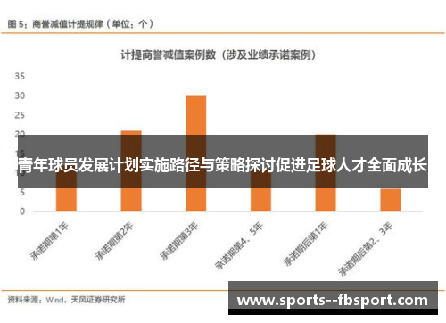 青年球员发展计划实施路径与策略探讨促进足球人才全面成长