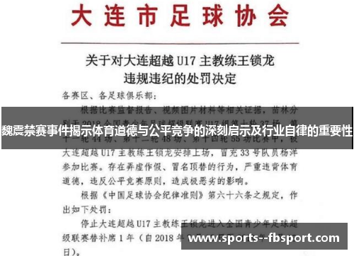 魏震禁赛事件揭示体育道德与公平竞争的深刻启示及行业自律的重要性